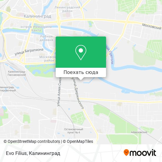 Карта Evo Filius