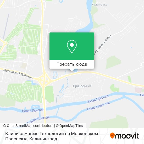 Карта Клиника Новые Технологии на Московском Проспекте