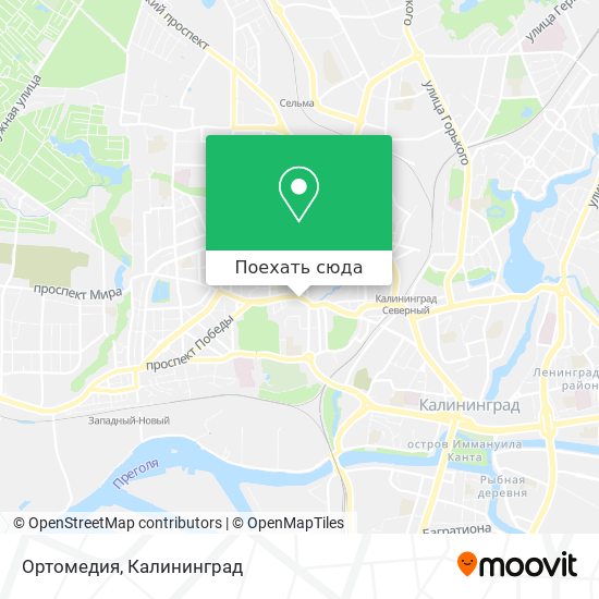 Карта Ортомедия