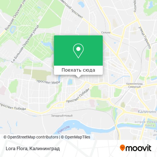 Карта Lora Flora