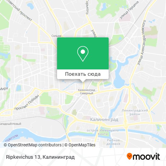 Карта Ripkevichus 13
