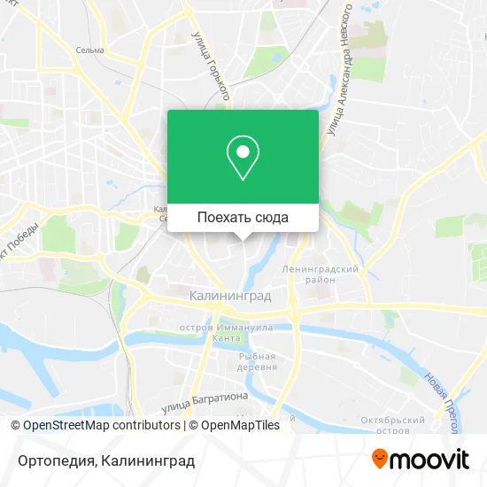 Карта Ортопедия