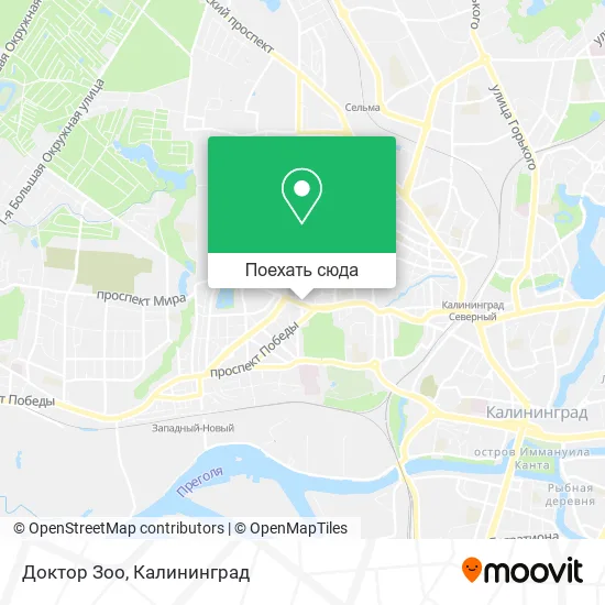 Карта Доктор Зоо