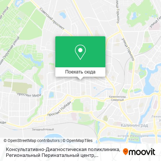 Карта Консультативно-Диагностическая поликлиника, Региональный Перинатальный центр