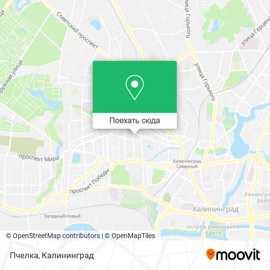 Карта Пчелка