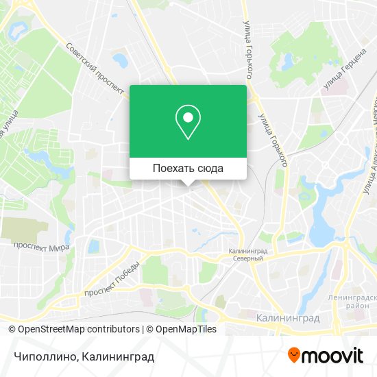 Карта Чиполлино