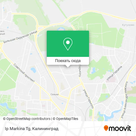 Карта Ip Markina Tg