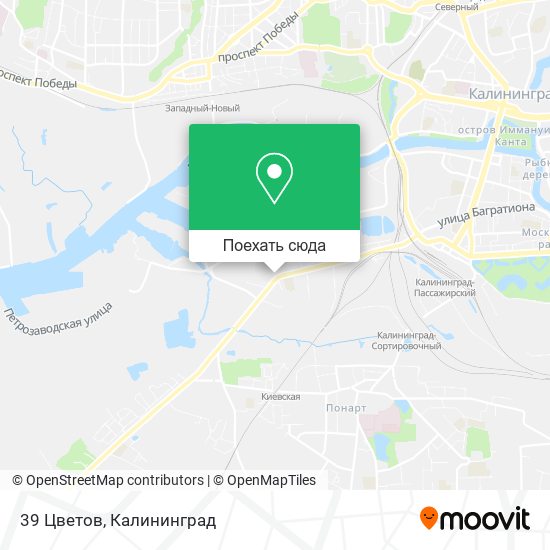 Карта 39 Цветов