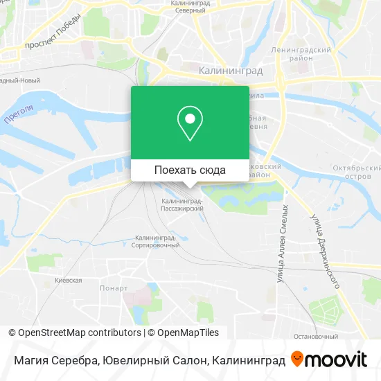 Карта Магия Серебра, Ювелирный Салон