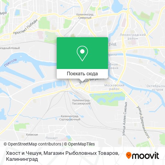 Карта Хвост и Чешуя, Магазин Рыболовных Товаров
