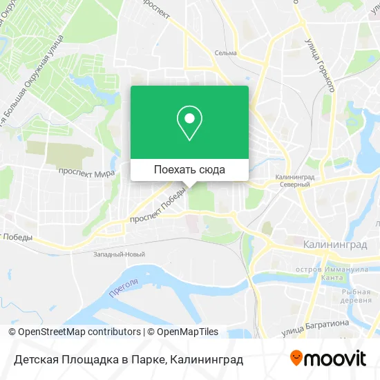 Карта Детская Площадка в Парке