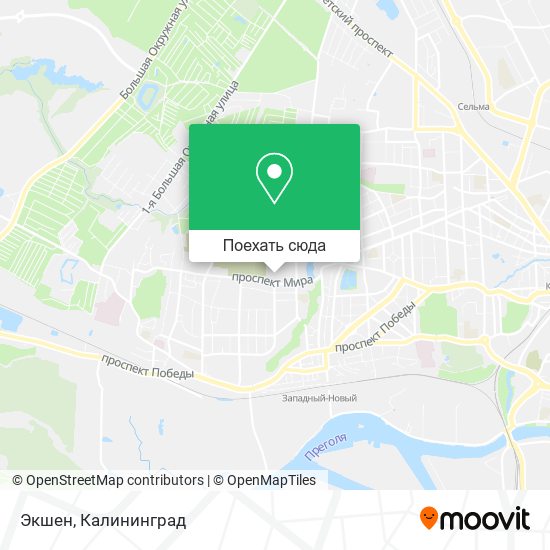 Карта Экшен