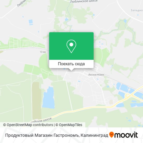 Карта Продуктовый Магазин Гастрономъ