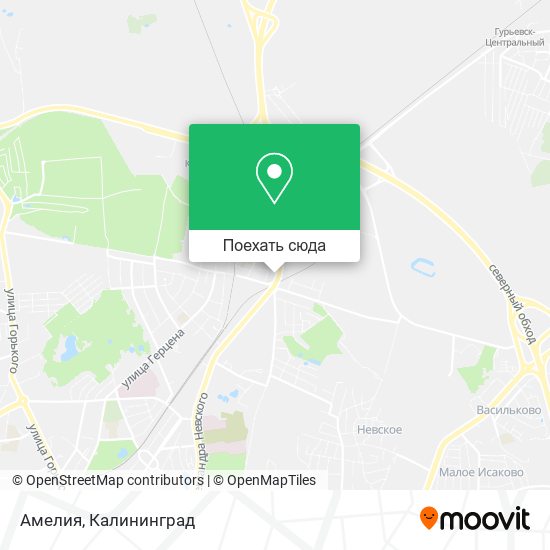 Карта Амелия