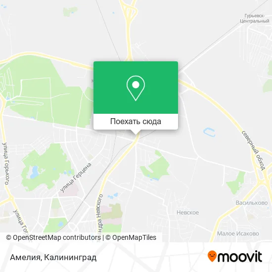 Карта Амелия