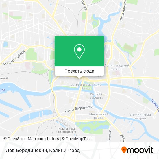 Карта Лев Бородинский