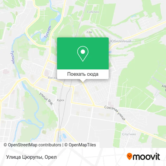Карта Улица Цюрупы