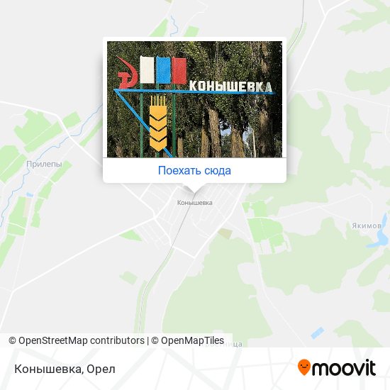 Карта Конышевка