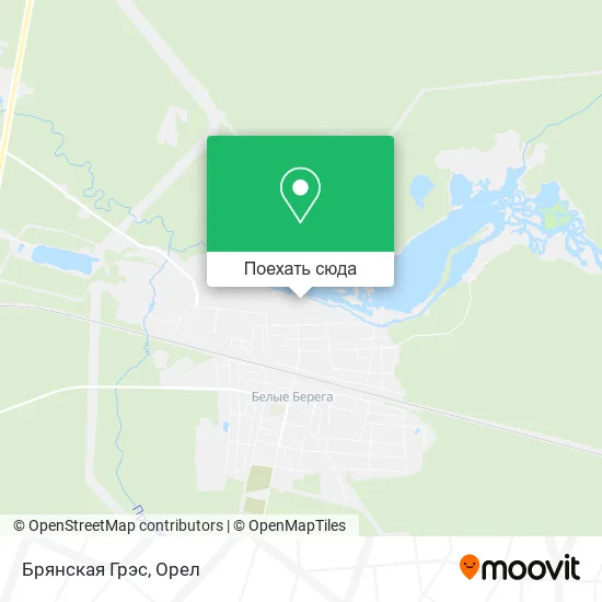 Карта Брянская Грэс