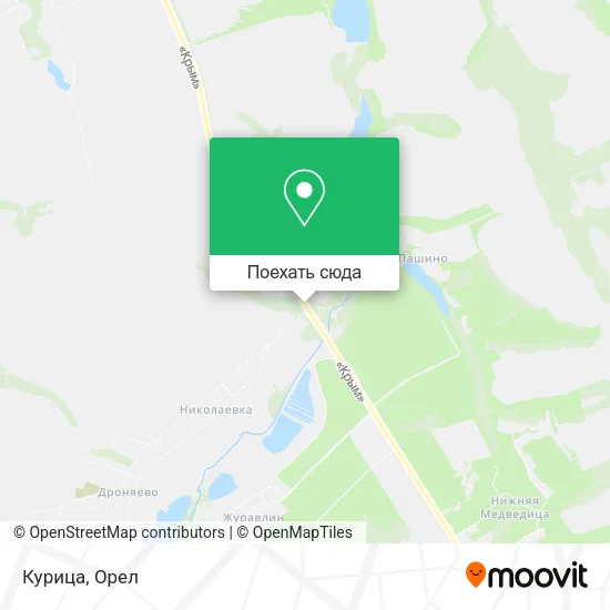 Карта Курица