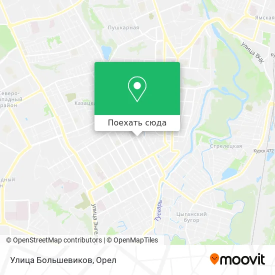 Карта Улица Большевиков