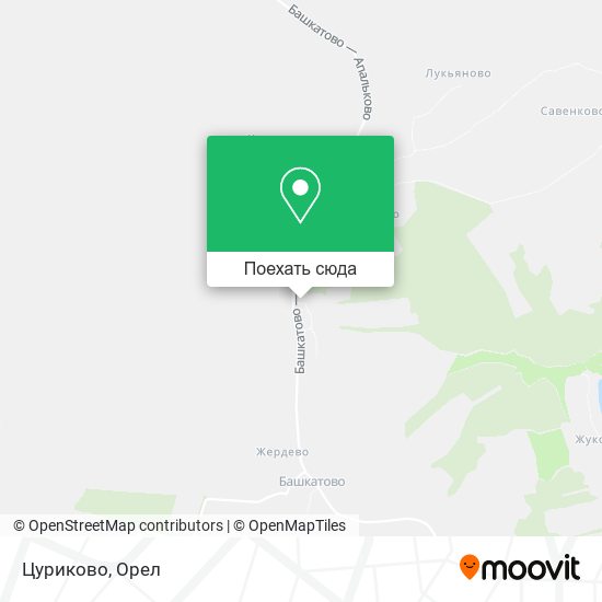 Карта Цуриково