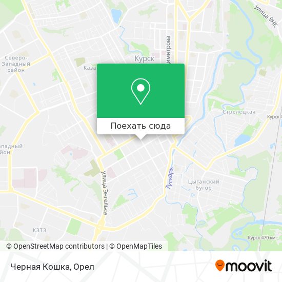 Карта Черная Кошка