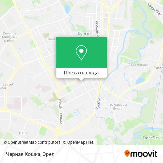 Карта Черная Кошка