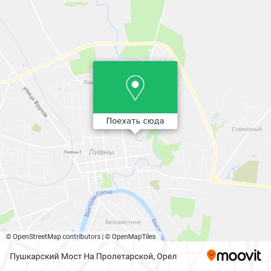 Карта Пушкарский Мост На Пролетарской