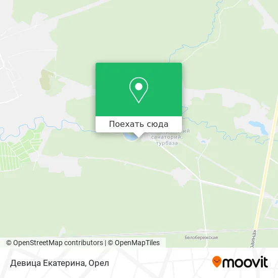 Карта Девица Екатерина