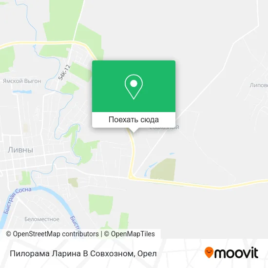 Карта Пилорама Ларина В Совхозном