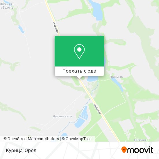 Карта Курица