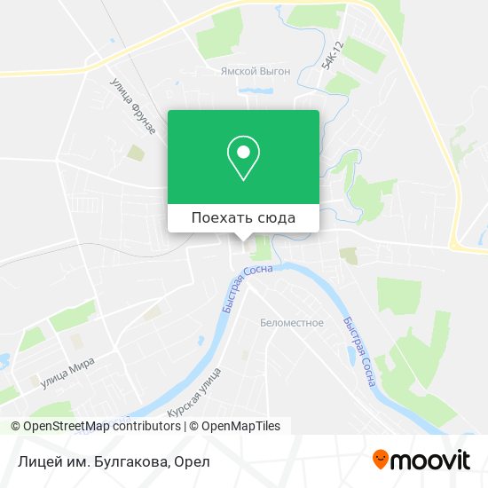 Карта Лицей им. Булгакова