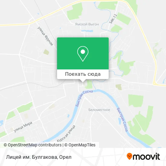 Карта Лицей им. Булгакова