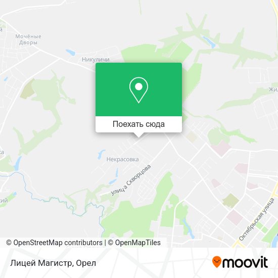 Карта Лицей Магистр