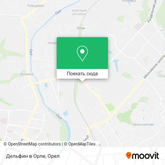 Карта Дельфин в Орле