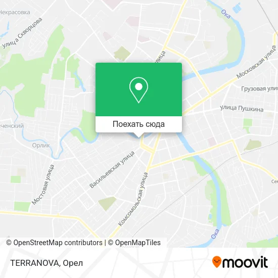 Карта TERRANOVA