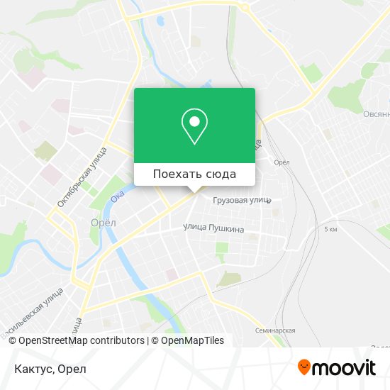 Карта Кактус