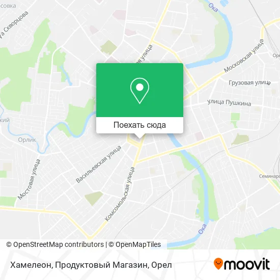 Карта Хамелеон, Продуктовый Магазин