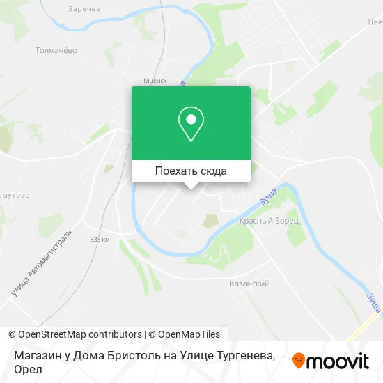 Карта Магазин у Дома Бристоль на Улице Тургенева