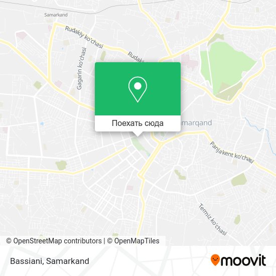 Карта Bassiani