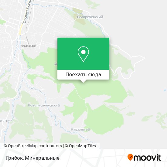 Карта Грибок