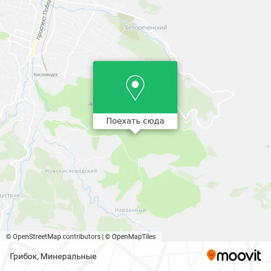 Карта Грибок