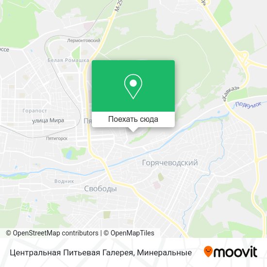Карта Центральная Питьевая Галерея