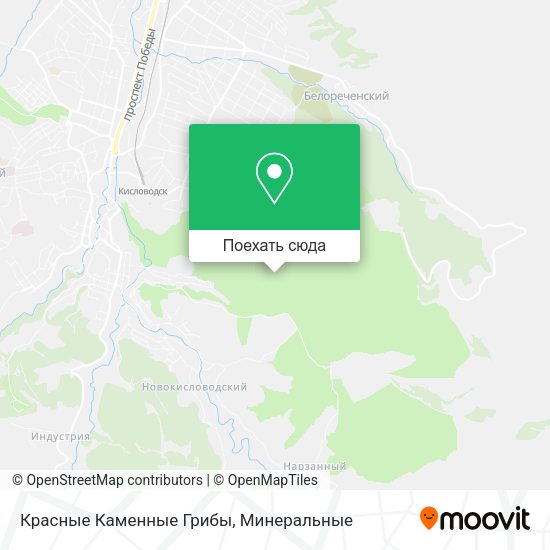 Карта Красные Каменные Грибы