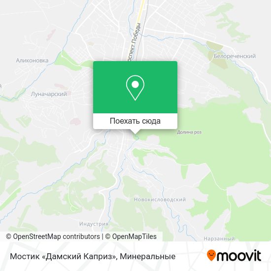 Карта Мостик «Дамский Каприз»
