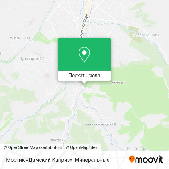 Карта Мостик «Дамский Каприз»