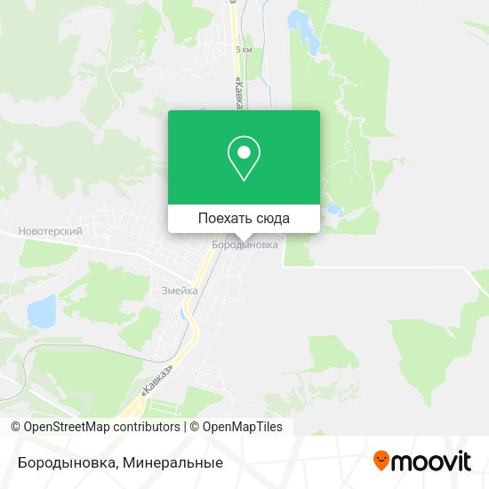 Карта Бородыновка