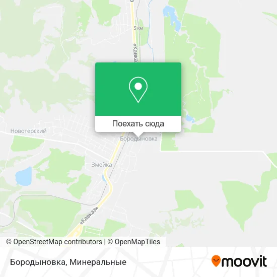 Карта Бородыновка
