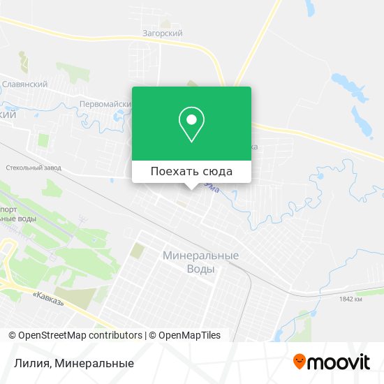 Карта Лилия